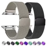 Apple Watch Megnatic Loop Chain